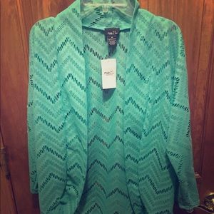 Teal sweater